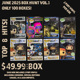 Box Hunt Bundle Pop! Vinyl - JUNE 2025 EDITION VOL.1